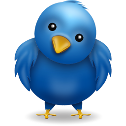 twitter social icon